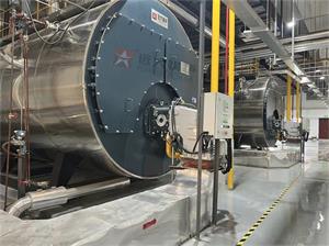 2臺10噸WNS型燃氣蒸汽鍋爐，云南昆明藥劑企業項目